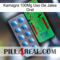 Kamagra 100Mg Oral Jelly Use new03